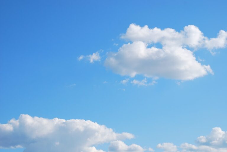 Wyszukiwarka numerów stacjonarnych – narzędzie w walce z oszustwami