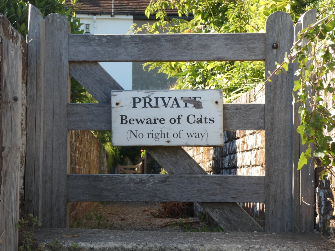 Sprawdź IP internetu – jak monitorować bezpieczeństwo w sieci domowej